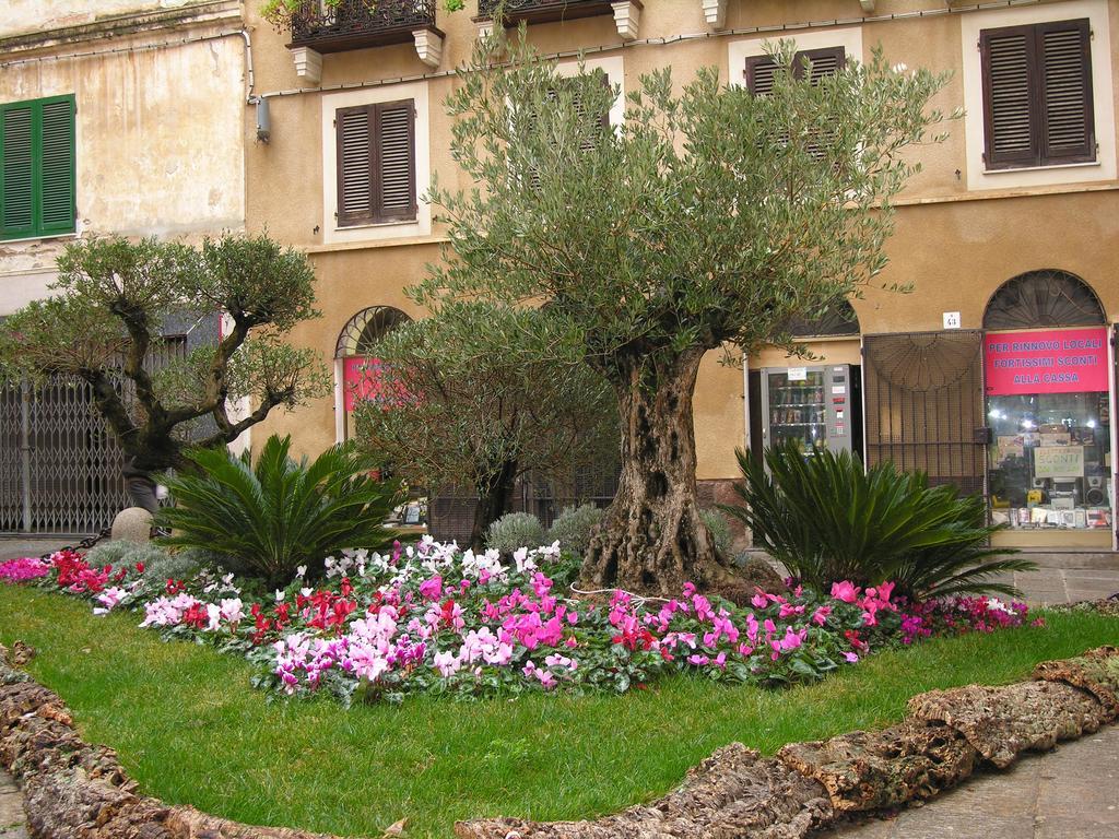 Centro Storico Carlo Alberto ألغيرو المظهر الخارجي الصورة